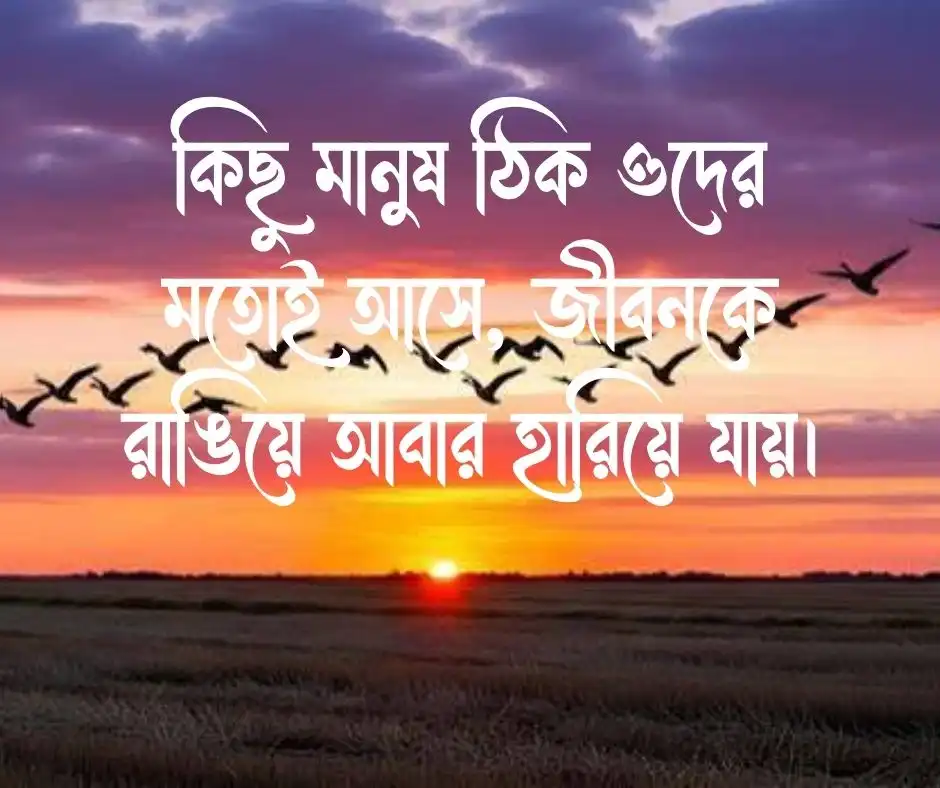 অতিথি পাখি নিয়ে ক্যাপশন Captions about migratory birds