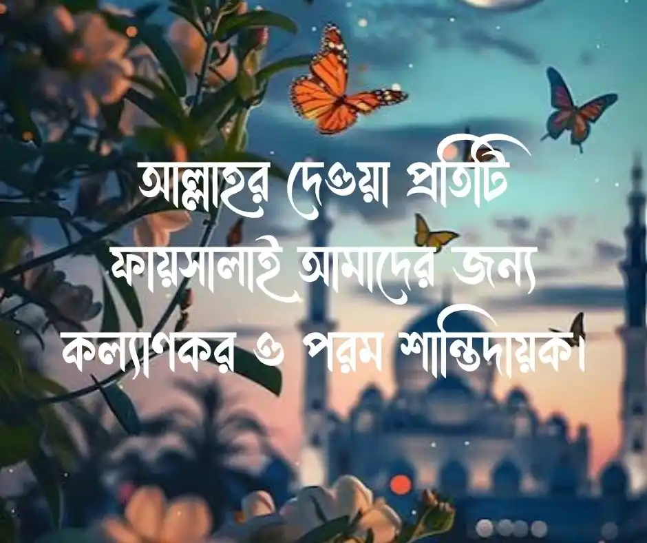 ইমোশনাল ইসলামিক স্ট্যাটাস Emotional Islamic Status