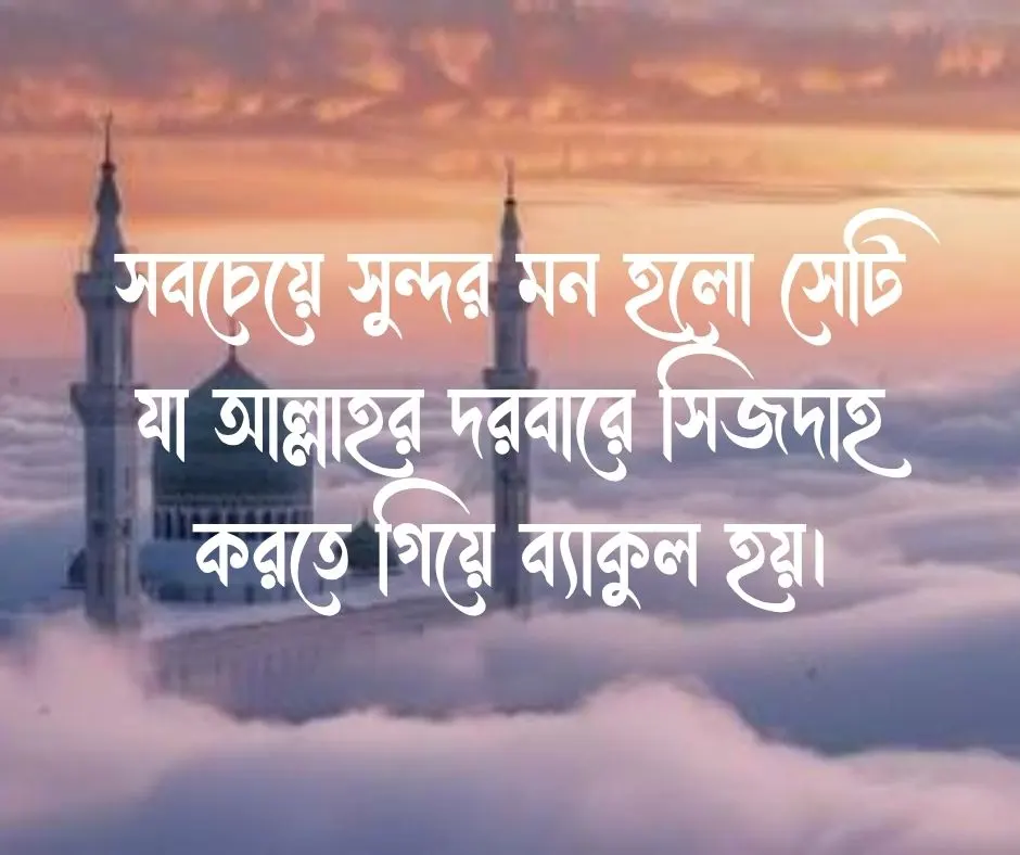 ইসলামিক স্ট্যাটাস পিকচার Islamic Status Pictures 2026