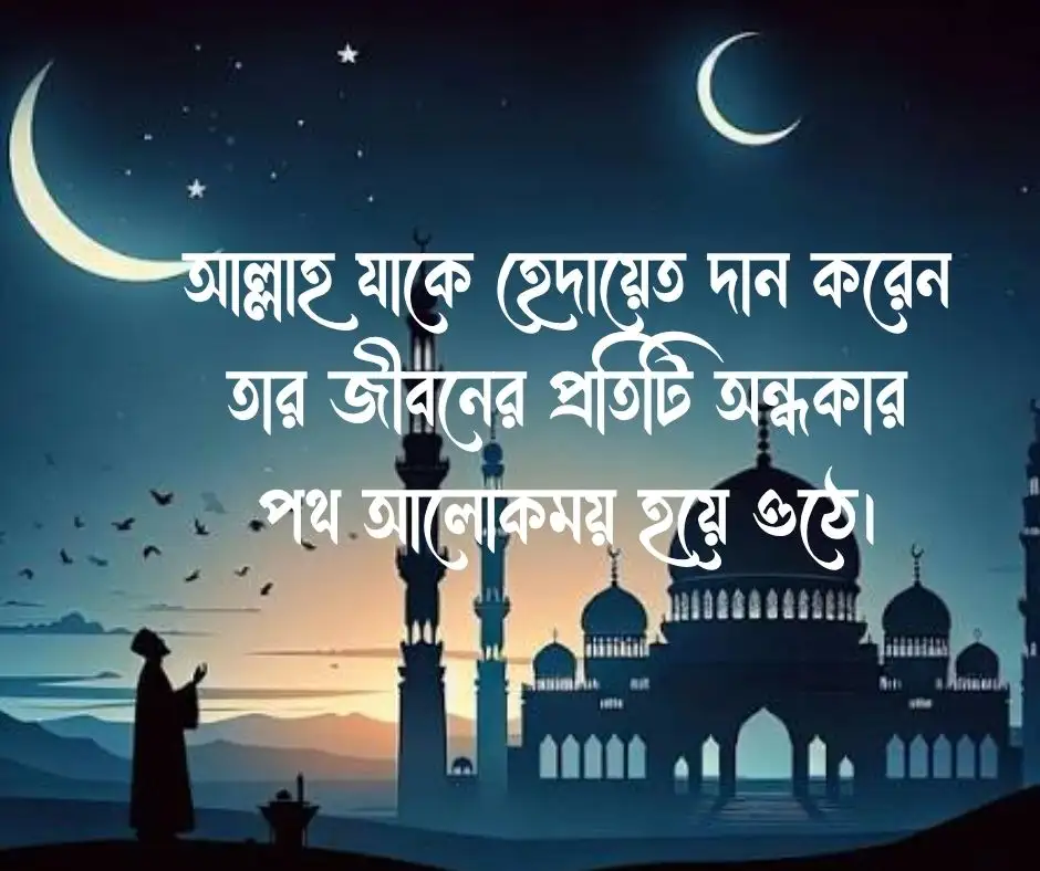 ইসলামিক স্ট্যাটাস পিকচার Islamic Status Pictures