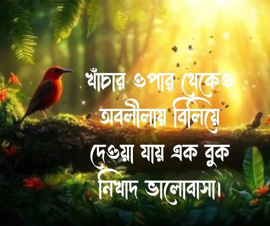 পোষা পাখি নিয়ে ক্যাপশন