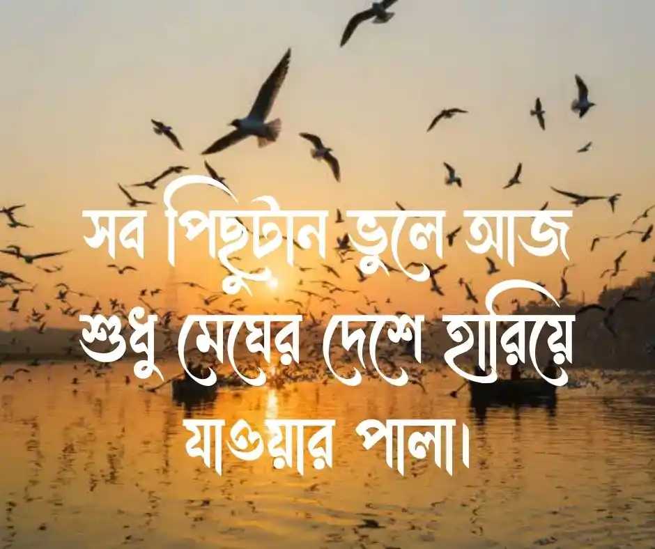 মুক্ত পাখি নিয়ে ক্যাপশন