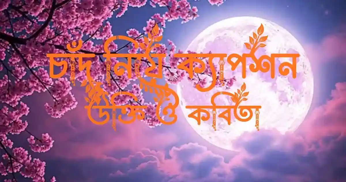 চাঁদ নিয়ে ক্যাপশন, উক্তি ও কবিতা