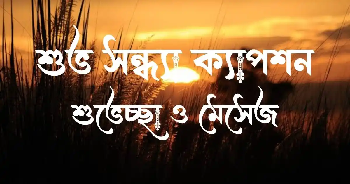 শুভ সন্ধ্যা ক্যাপশন, শুভেচ্ছা ও মেসেজ