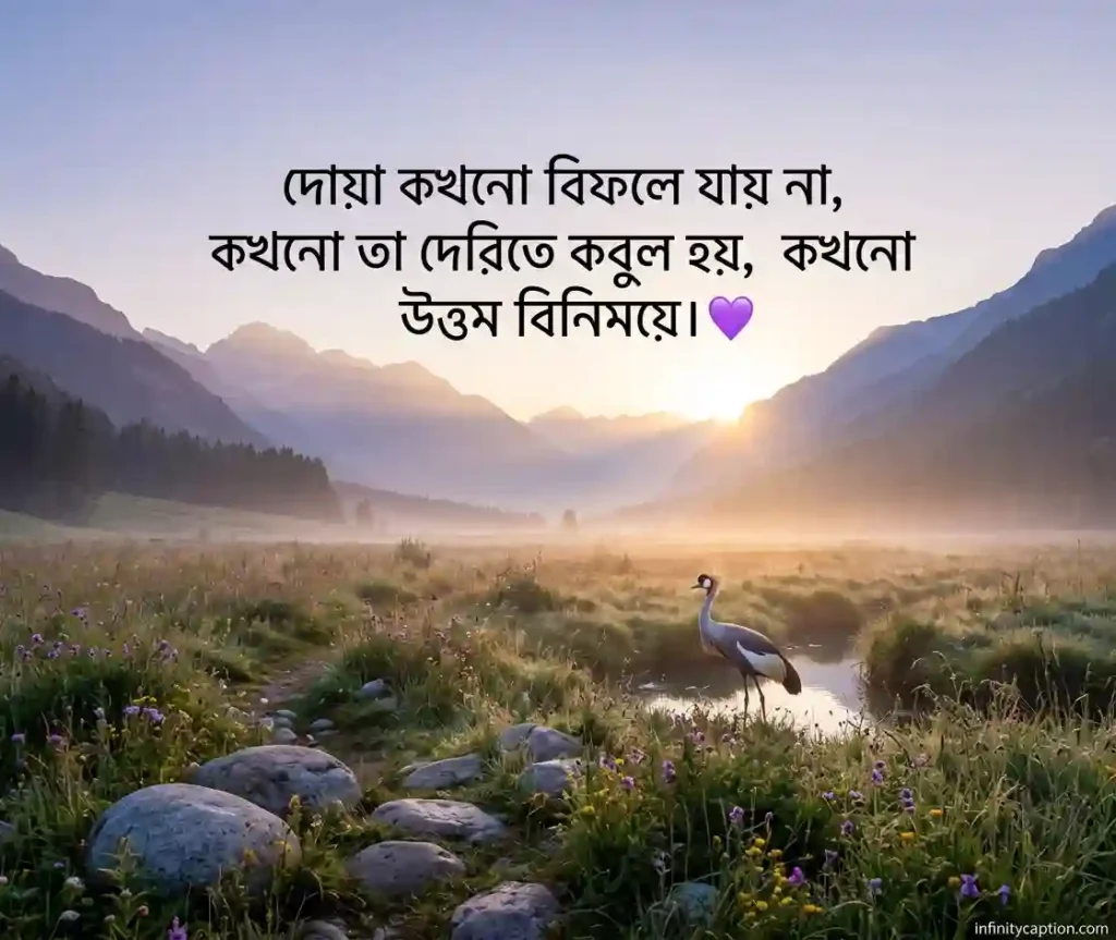 আশা নিয়ে ইসলামিক উক্তি