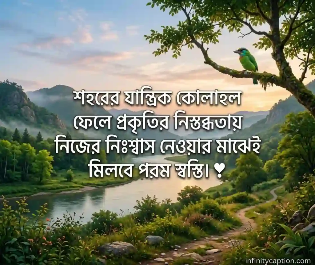 ঘুরাঘুরি নিয়ে স্ট্যাটাস