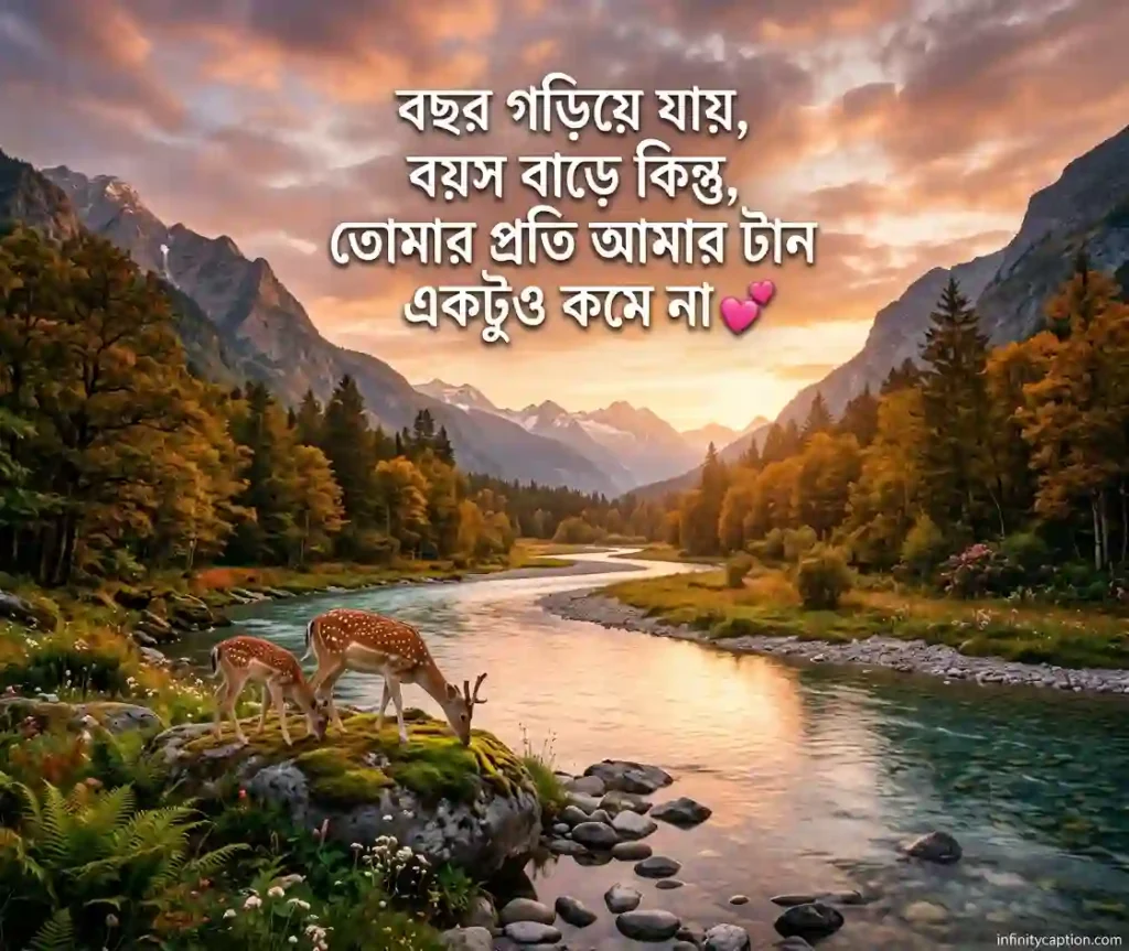 প্রিয় মাদ্রাসা নিয়ে ক্যাপশন