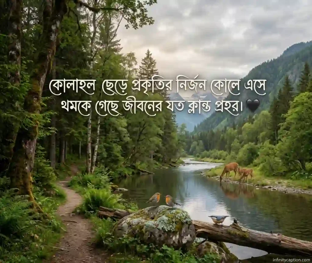 ভ্রমণ নিয়ে ক্যাপশন Travel captions