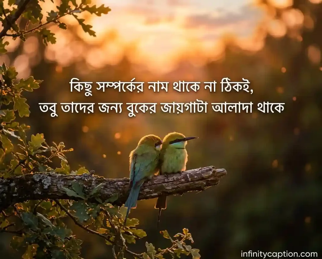 মনের আবেগ নিয়ে ক্যাপশন