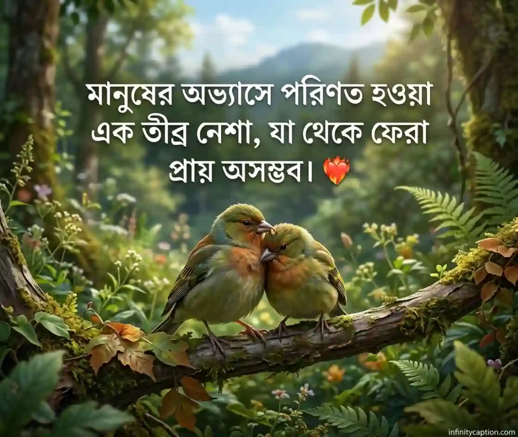 মায়া নিয়ে উক্তি Quotes about attachment