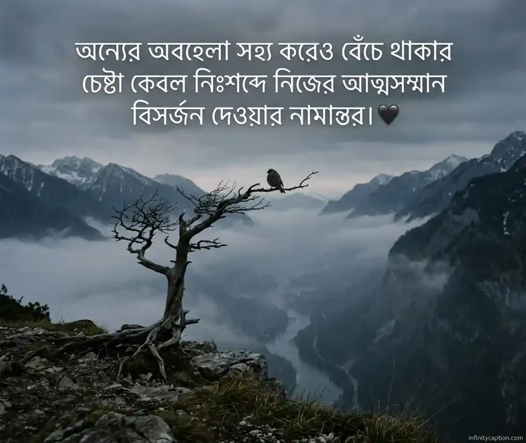মায়া নিয়ে কষ্টের উক্তি Quotes about the pain of attachment