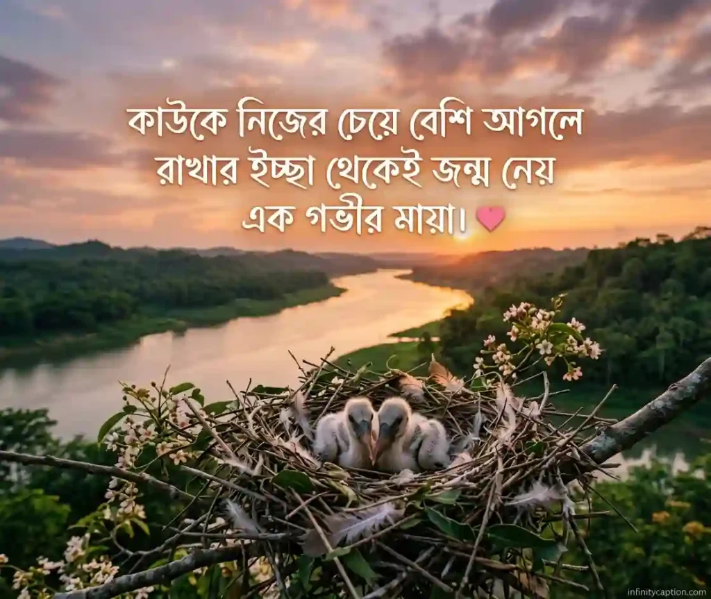 মায়া নিয়ে ক্যাপশন Captions about attachment.