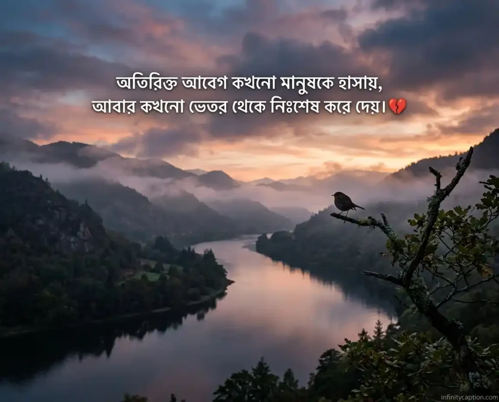 মায়া নিয়ে ক্যাপশন Captions about attachment