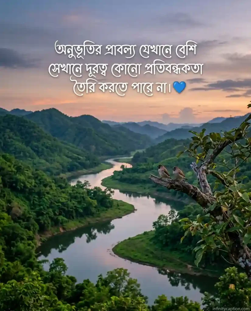 মায়া নিয়ে স্ট্যাটাস Status updates about attachment