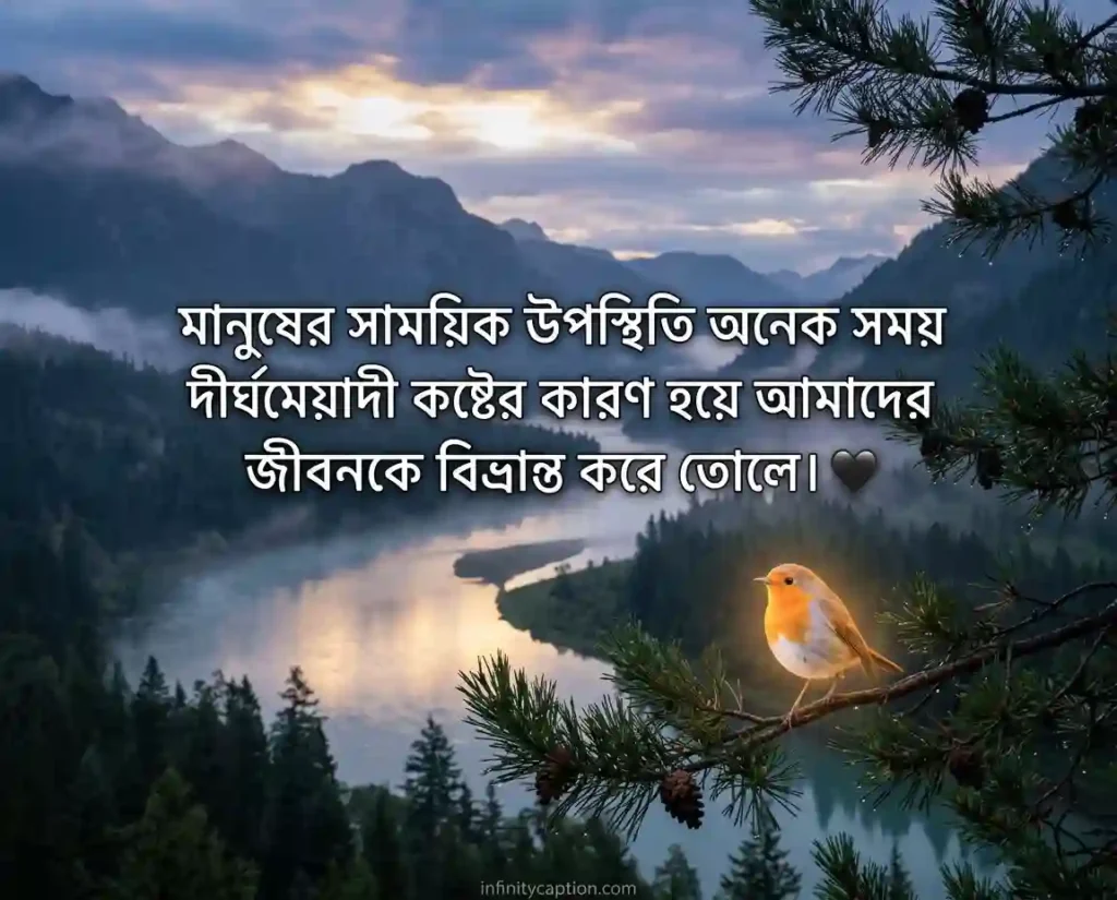 মিথ্যা মায়া নিয়ে উক্তি Quotes about false illusions