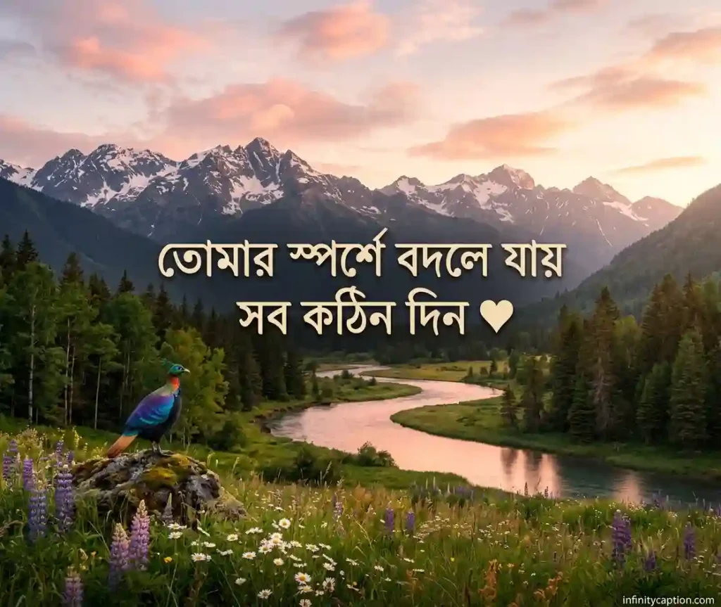শর্ট ক্যাপশন