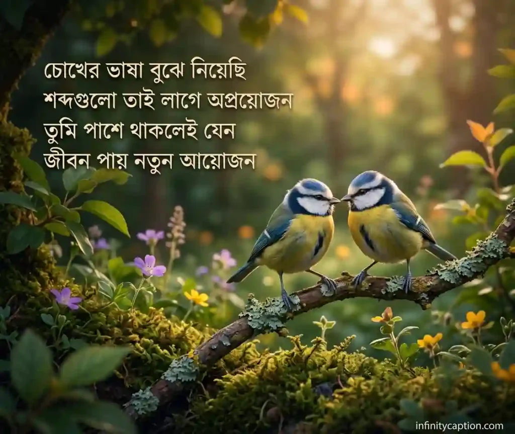 সুন্দর ছন্দ