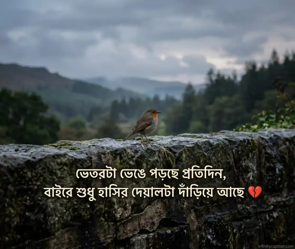 হতাশা নিয়ে ক্যাপশন