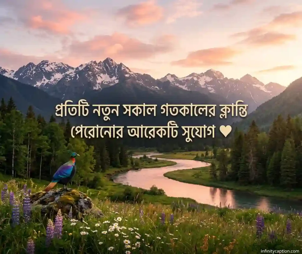 Best Bangla Caption